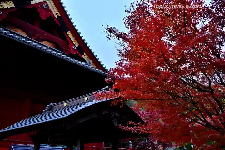 清水観音堂(東京都)