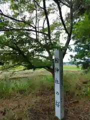 舘神社の自然