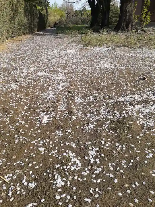 伏木香取神社の自然