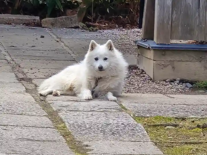 安立寺(京都府)