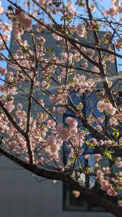 六本木天祖神社(東京都)