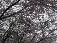 素鵞神社の自然