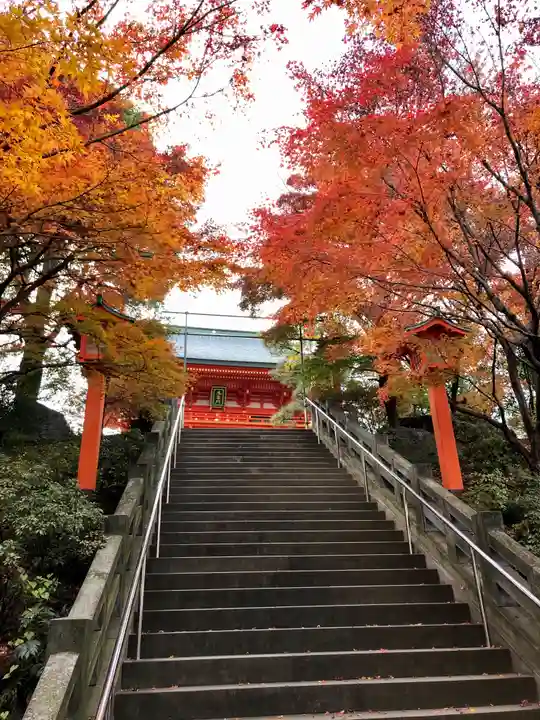 穴八幡宮の自然