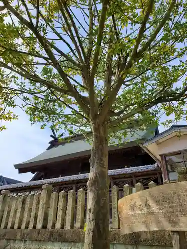 住吉神社の自然