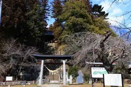 田村神社の鳥居