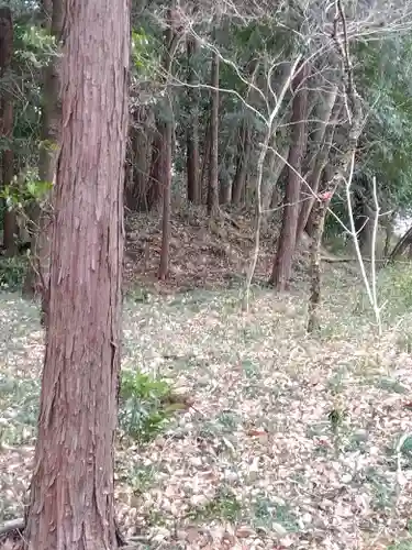 市場神社(埼玉県)