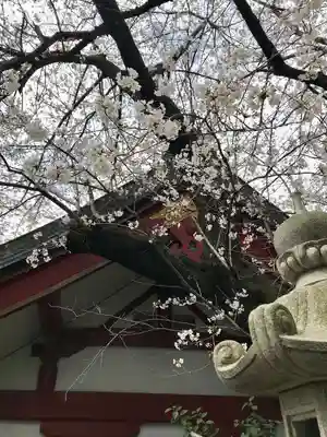 茶ノ木稲荷神社(東京都)