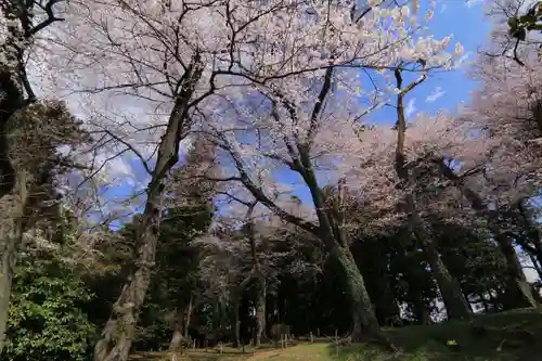 神炊館神社 ⁂奥州須賀川総鎮守⁂の自然