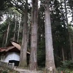 宝積山光前寺の周辺