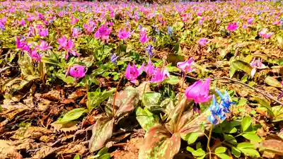 浦臼神社(北海道)