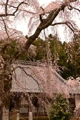 法蓮寺(愛媛県)