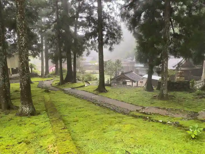 金剛證寺の自然