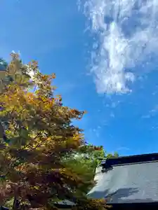 蚊里田八幡宮(長野県)(2025年09月29日(月) 14時47分55秒投稿)