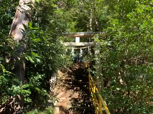 水神社の鳥居