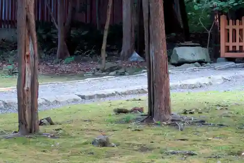 北海道神宮(北海道)