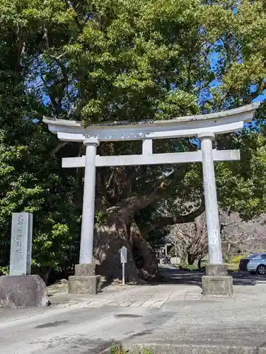 川津来宮神社(静岡県)