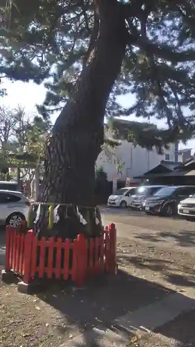 鴻神社(埼玉県)