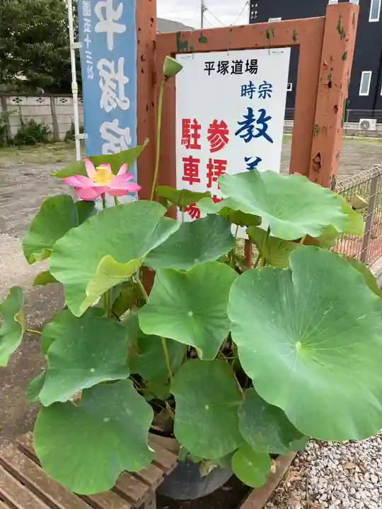 教善寺(神奈川県)