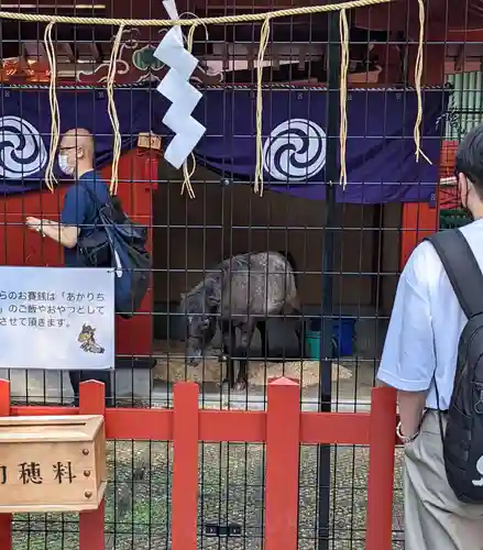 神田神社（神田明神）(東京都)