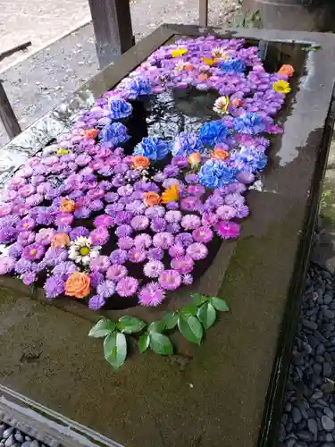 前玉神社の手水