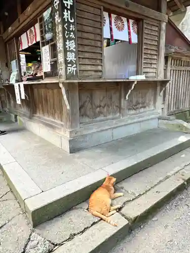 伊佐須美神社(福島県)