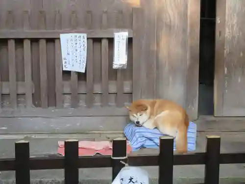 能満院(奈良県)