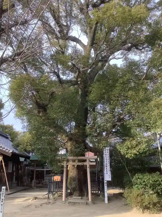 中山神明社(愛知県)