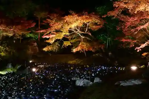 宝厳院(京都府)