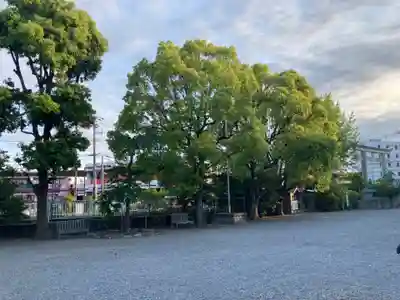 白旗神社(神奈川県)