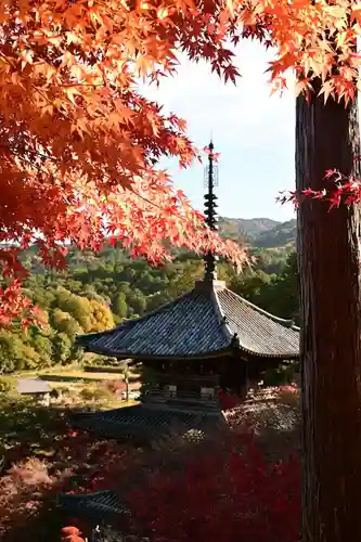 常樂寺(滋賀県)