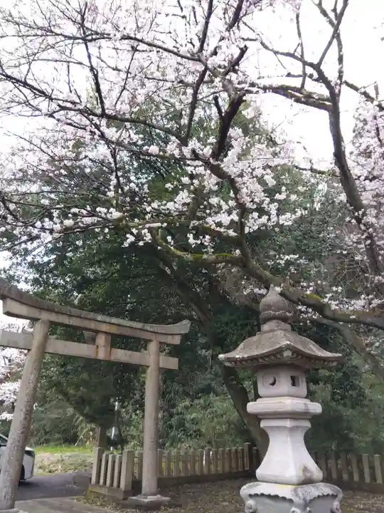春日神社(福井県)