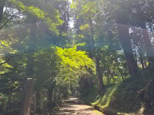最乗寺（道了尊）(神奈川県)