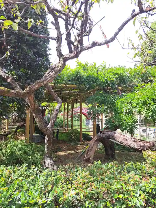 亀戸天神社(東京都)