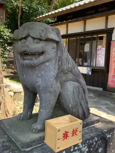 小幡八幡宮の狛犬