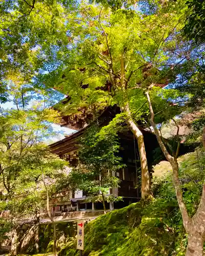 西明寺(滋賀県)