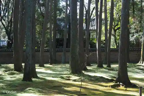 唐招提寺(奈良県)