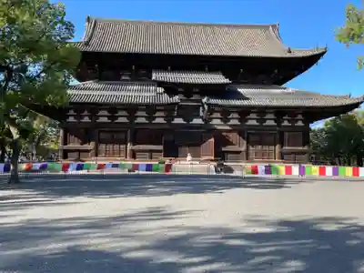 東寺(教王護国寺)の本殿・本堂