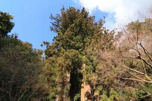 鹿島大神宮の庭園