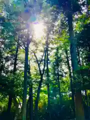 愛宕神社(茨城県)