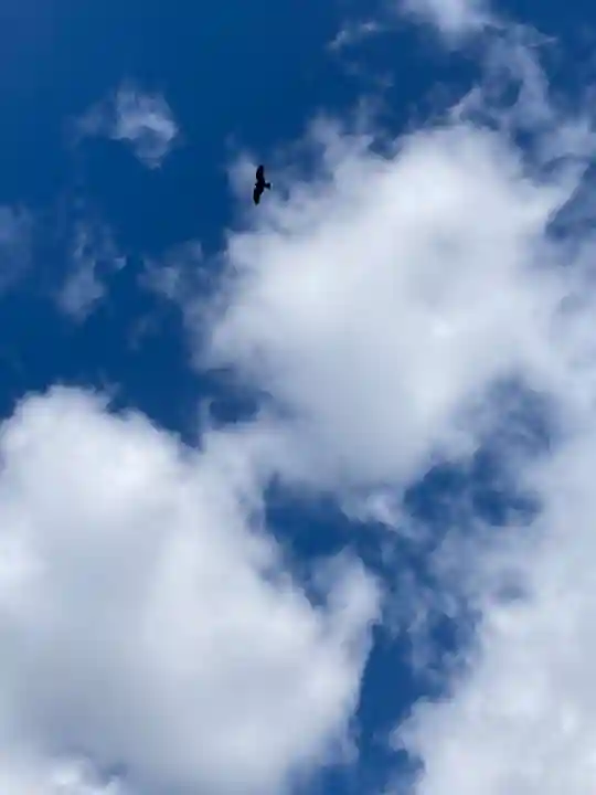 小宅神社の周辺