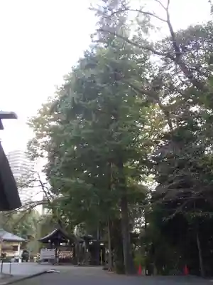 所澤神明社のその他建物