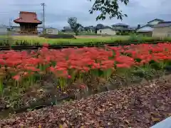 大前神社の自然