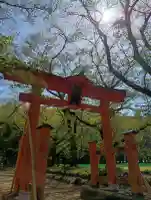 東蕗田天満社の{uncategorized: "未分類", other: "その他", undefined: "問題あり", building: "その他建物", grave: "お墓", sacred_gate: "鳥居", guardian: "狛犬", statue: "像", buddha: "仏像", history: "歴史", nature: "自然", garden: "庭園", animal: "動物", pagoda: "塔", temizu: "手水舎", mountain_gate: "山門・神門", sanctuary: "本殿・本堂", subordinate: "末社・摂社", art: "芸術", scenery: "景色", jizo: "地蔵", ema: "絵馬", goshuin: "御朱印", omikuji: "おみくじ", items: "授与品その他", amulet: "お守り", goshuincho: "御朱印帳", eats: "食事", festival: "お祭り", votive_dance: "神楽", shichigosan: "七五三参", wedding: "結婚式", experience: "体験その他", initially: "初詣", around: "周辺", anti_infection: "感染症対策"}