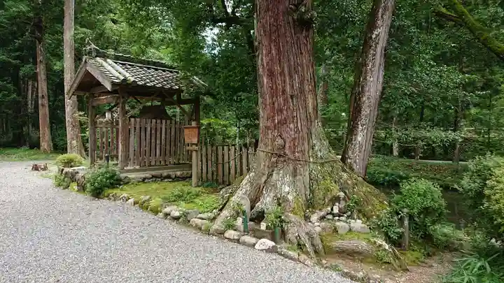丹生大師 神宮寺の自然