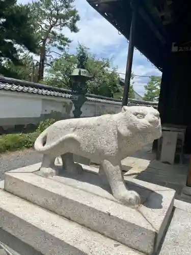 両足院の狛犬