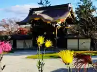 大覚寺の本殿・本堂