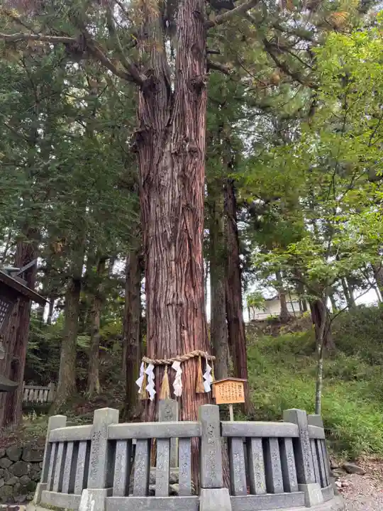 諏訪大社下社春宮(長野県)