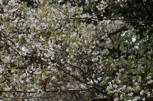 阿久津「田村神社」（郡山市阿久津町）旧社名：伊豆箱根三嶋三社の庭園