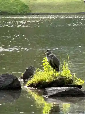錦春稲荷大明神(東京都)