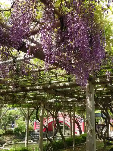亀戸天神社の庭園